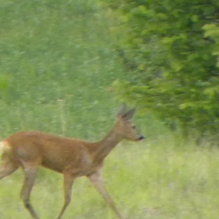 Frühstückspension Taillefer 3*