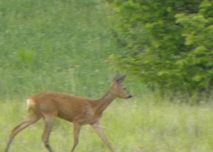 Bed & Breakfast Taillefer 3*