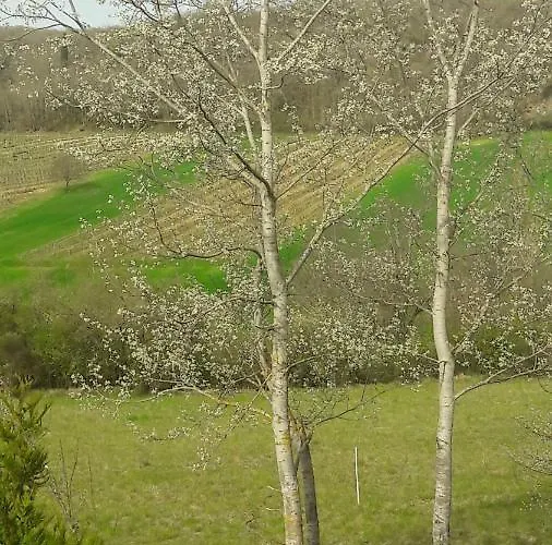 Bed & Breakfast Taillefer Saint Paul de Loubressac